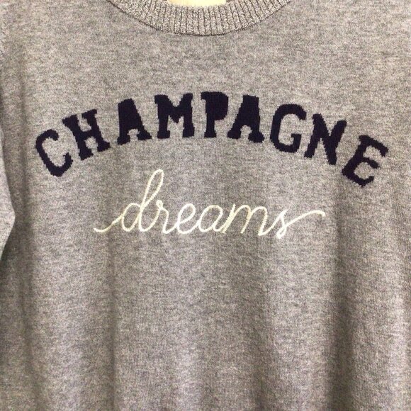 Chaser Champagne Dreams Sweater Gray Women’s Size Small Cashmere Blend - Picture 4 of 10